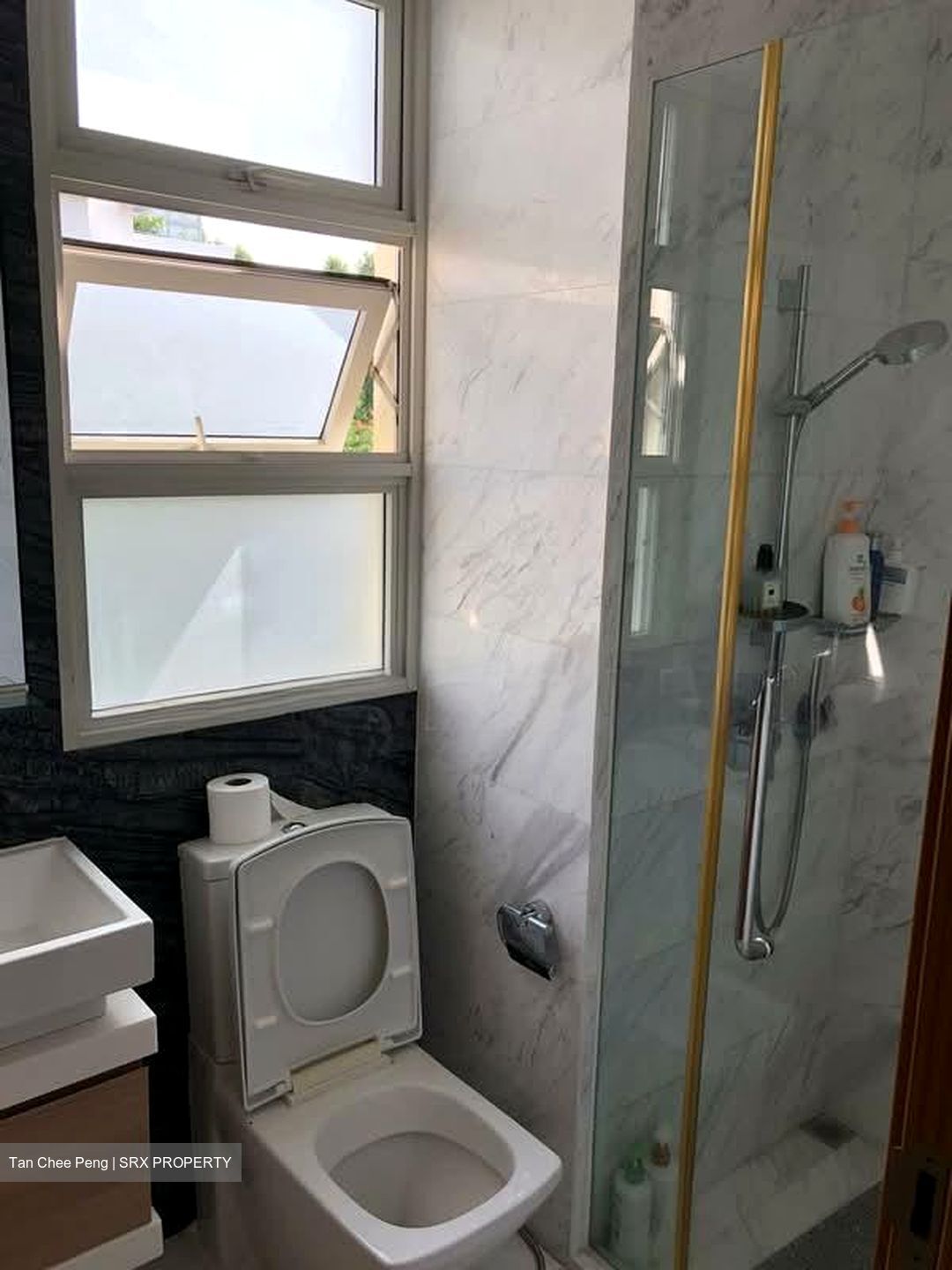 The Sound (D15), Condominium #579865871